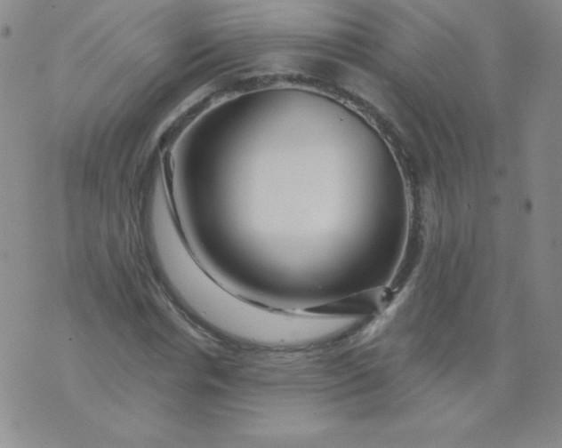 X0000076260826200610122228