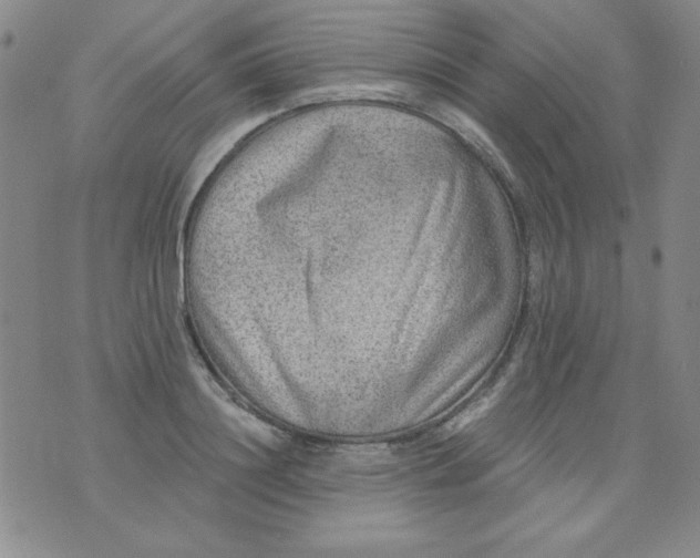 X0000076260844200610122228
