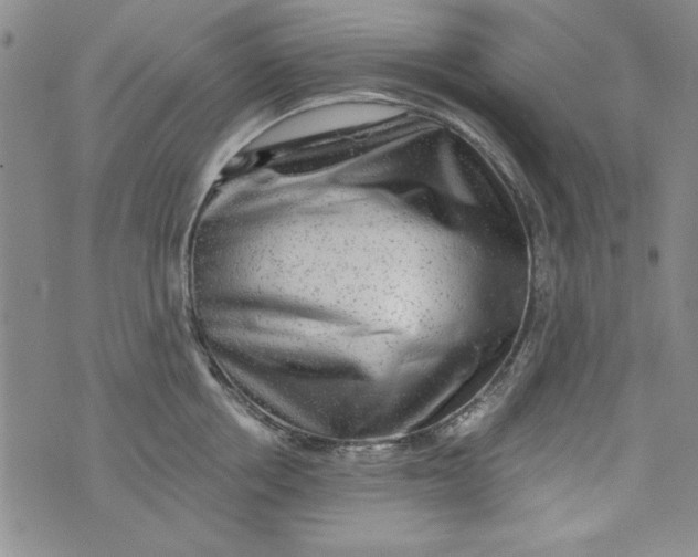 X0000076260858200610122228