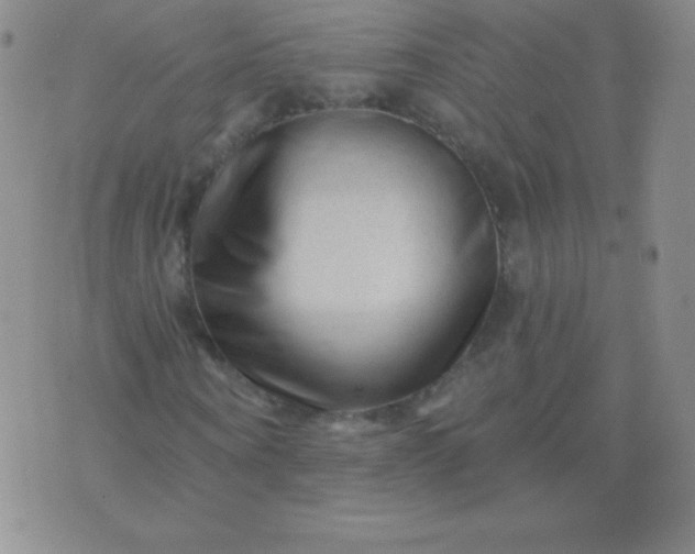 X0000076260866200610122228