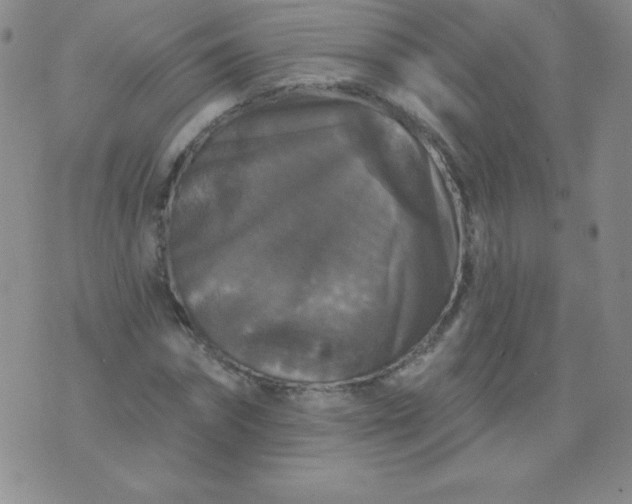 X0000076260874200610122227