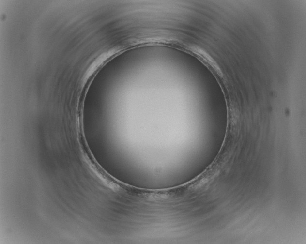 X0000076260890200610122227