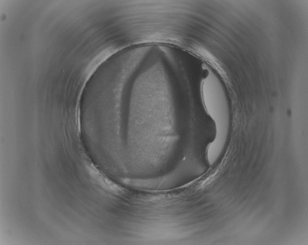 X0000076260892200610122227