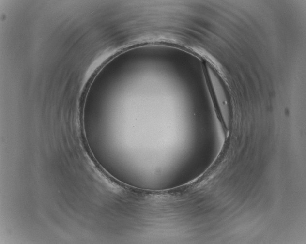 X0000076260894200610122227