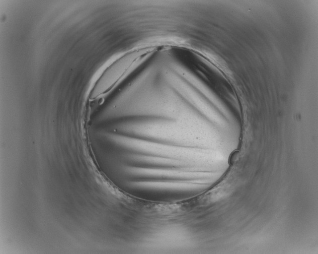 X0000076260912200610122227