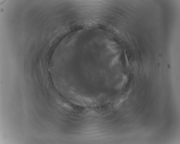 X0000076260913200610122226