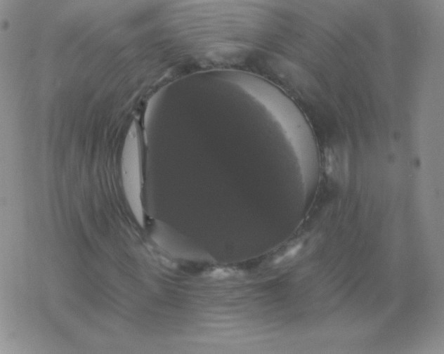 X0000076260915200610122226