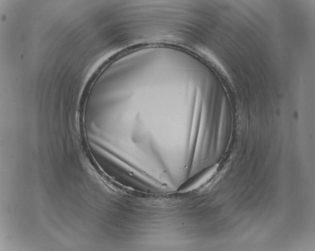 X0000076260932200610122226