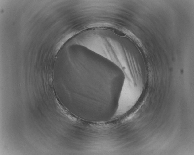 X0000076260945200610122227