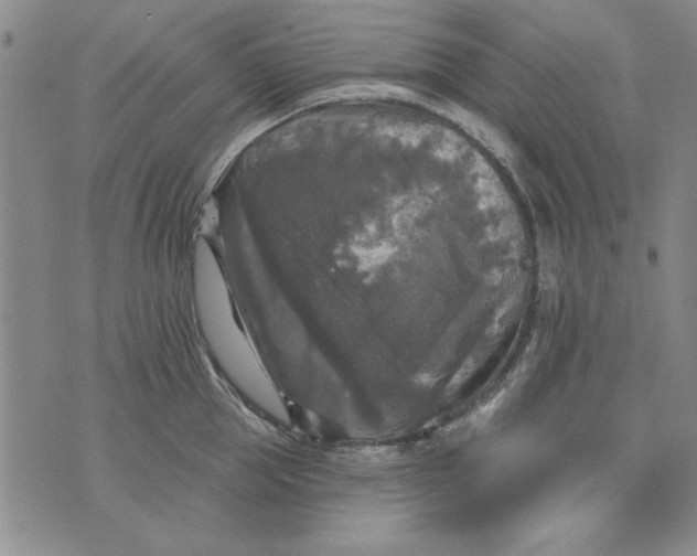 X0000076260953200610122227