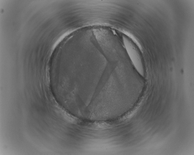 X0000076260983200610122226