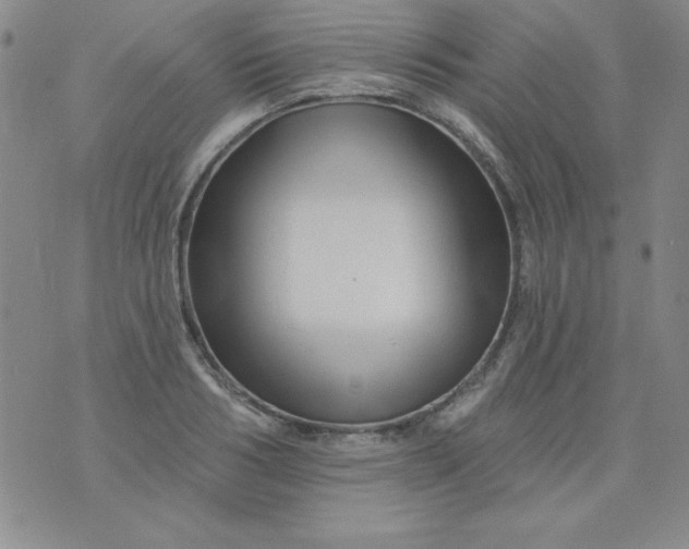 X0000076260986200610122226