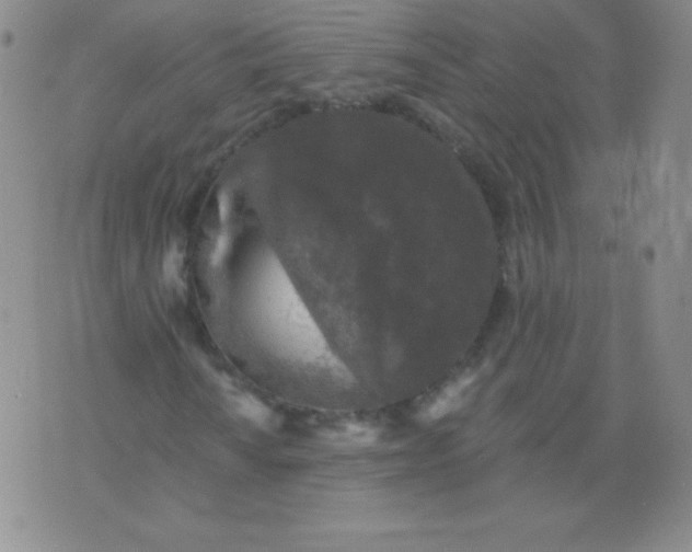 X0000076261010200610122225