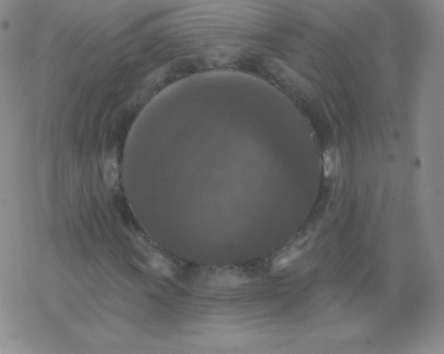 X0000076261011200610122225