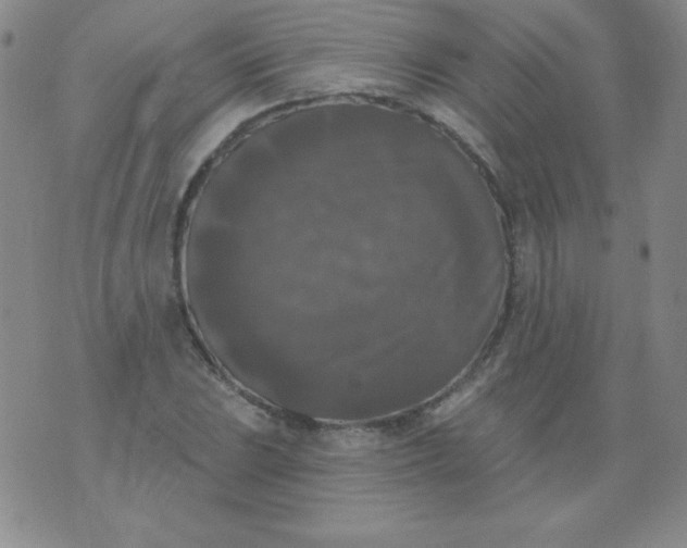 X0000076261023200610122225