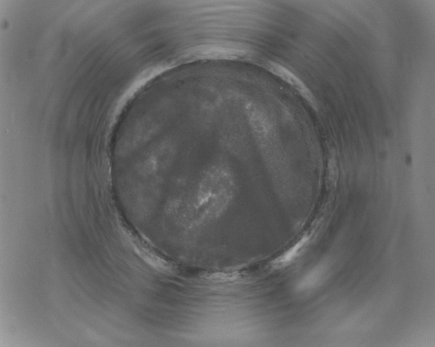 X0000076261027200610122225