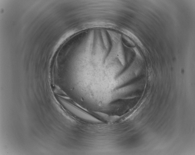 X0000076261043200610122225