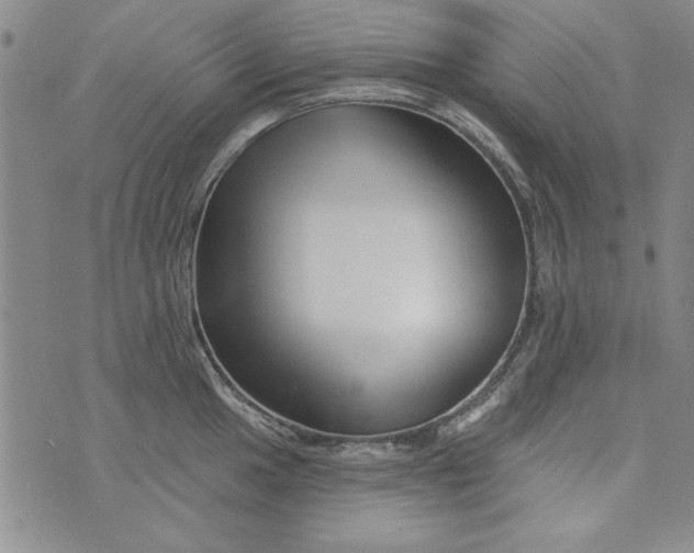 X0000076261049200610122225