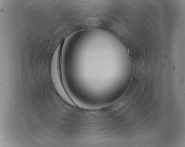 X0000076261058200610122224