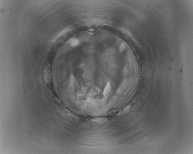 X0000076261063200610122224