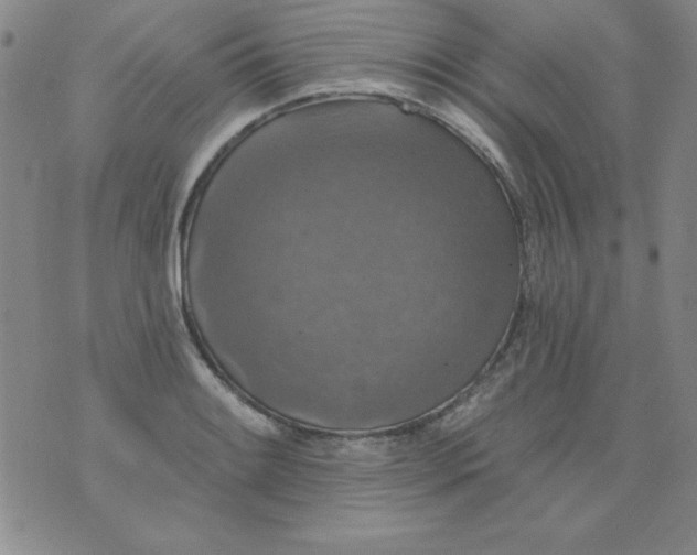 X0000076261084200610122224