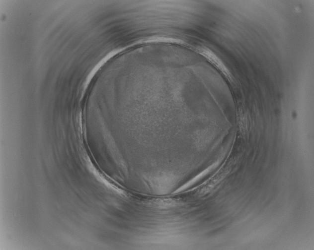 X0000076261092200610122224