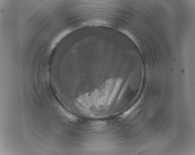X0000076261115200610122223