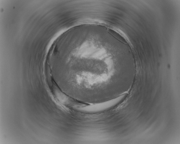 X0000076261128200610122223