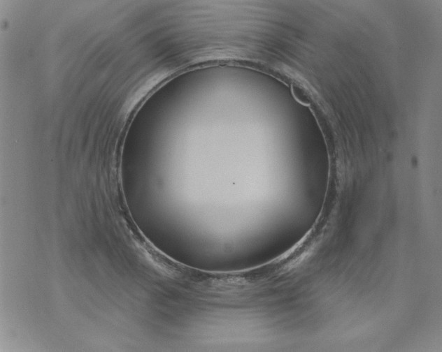 X0000076261129200610122223