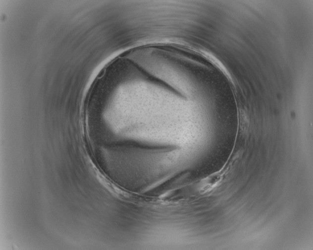 X0000076261148200610122224