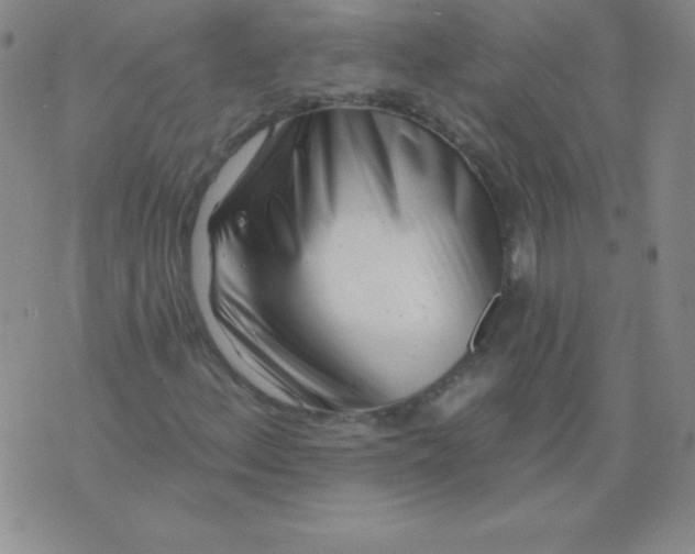 X0000076261156200610122223