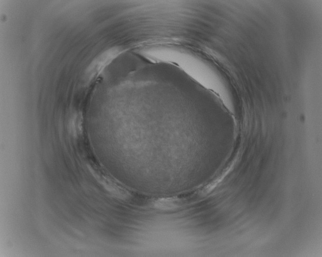 X0000076261161200610122223