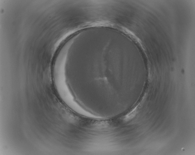 X0000076261174200610122223