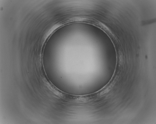 X0000076261178200610122223