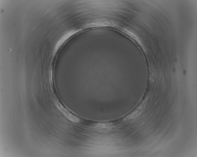 X0000076261179200610122223