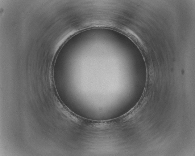 X0000076261182200610122222