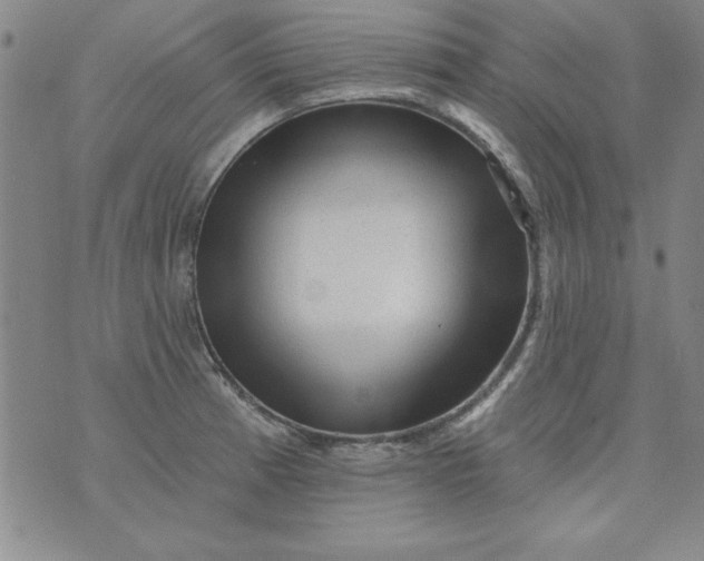 X0000076261185200610122222