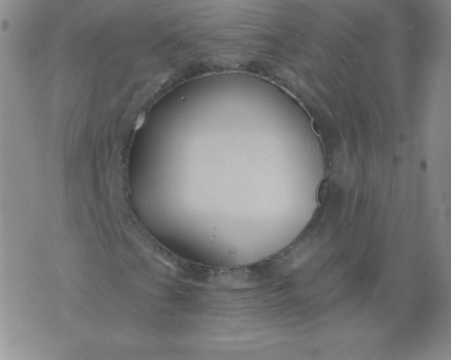 X0000076261201200610122221