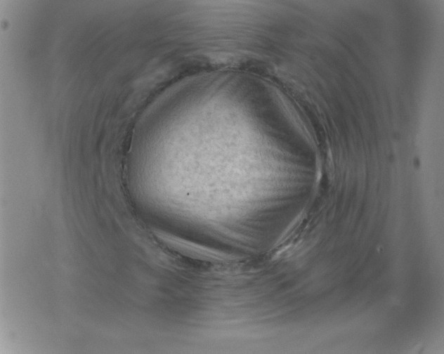 X0000076261249200610122221
