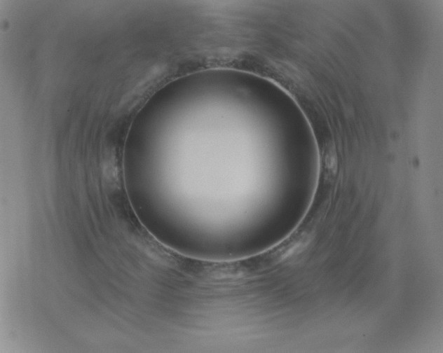 X0000076261252200610122221