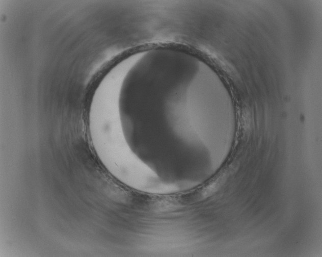 X0000076261262200610122221