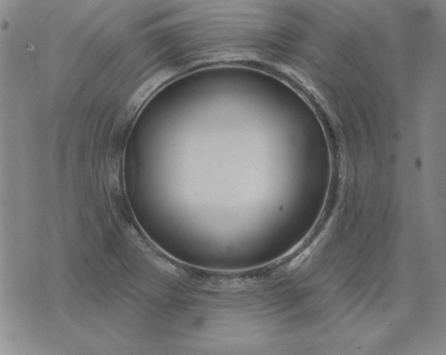 X0000076261273200610122221