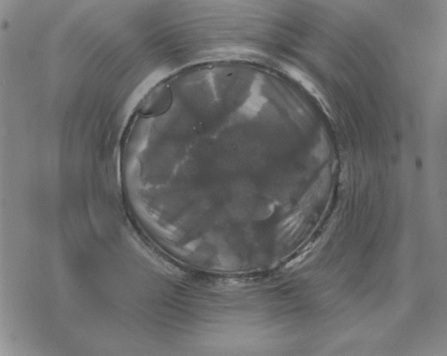 X0000076261275200610122221