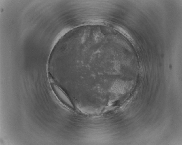 X0000076261283200610122221