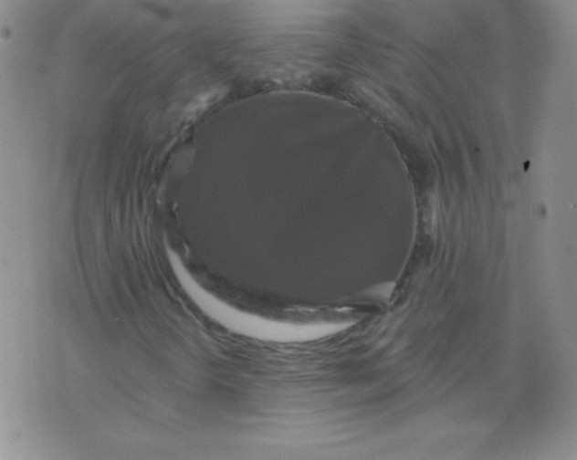 X0000076261298200610122220