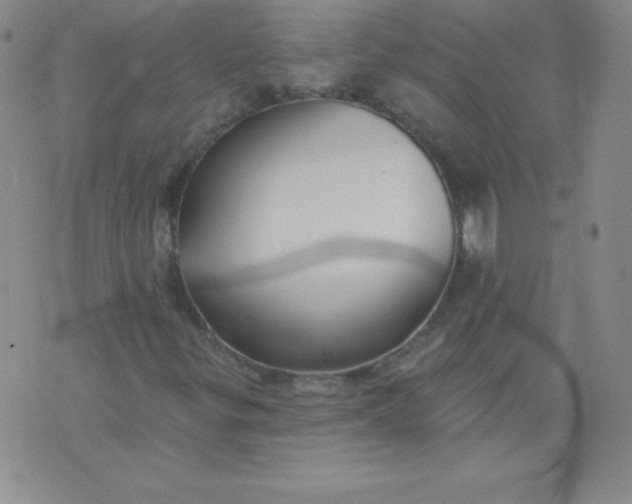 X0000076261299200610122220