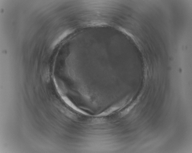 X0000076261306200610122220