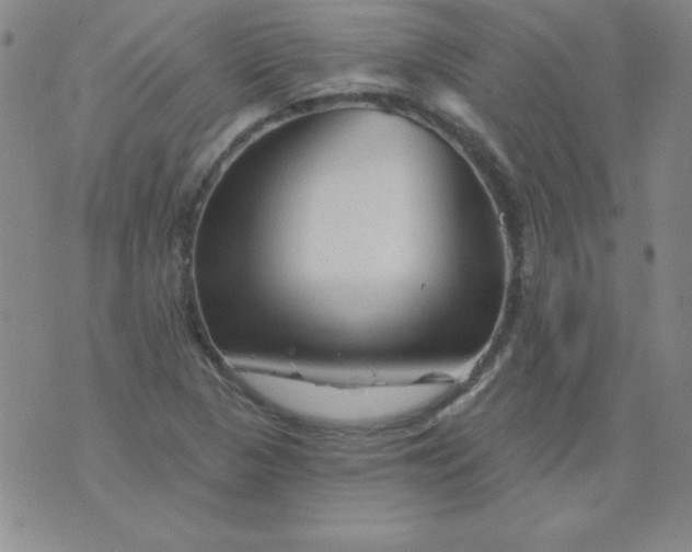 X0000076261313200610122220