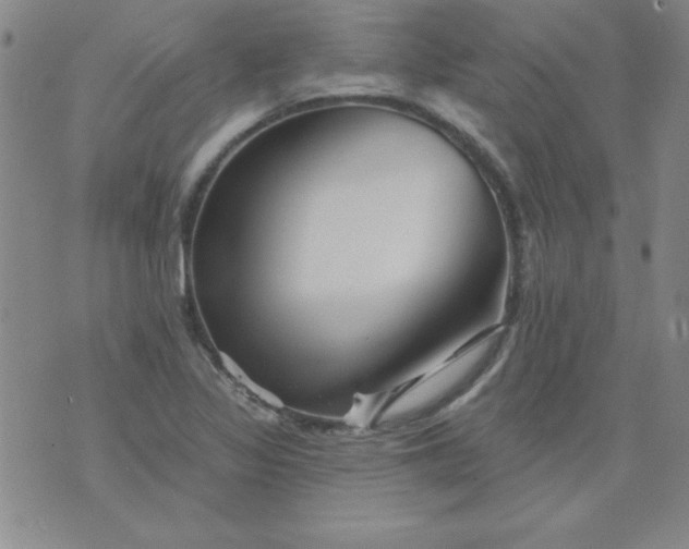 X0000076261317200610122220