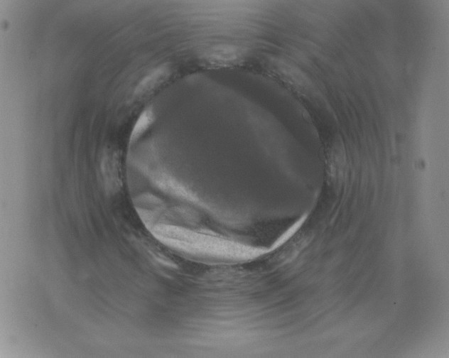 X0000076261346200610122220